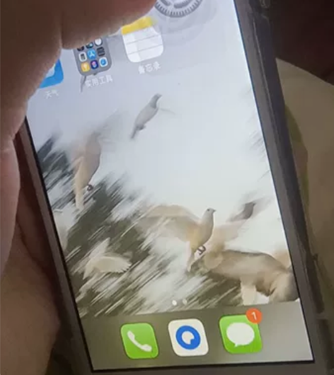 iPhone 8(售出不退!售出不退!售出...