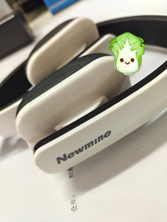 纽曼头戴式蓝牙耳机,音质佳,功能齐全,白菜...