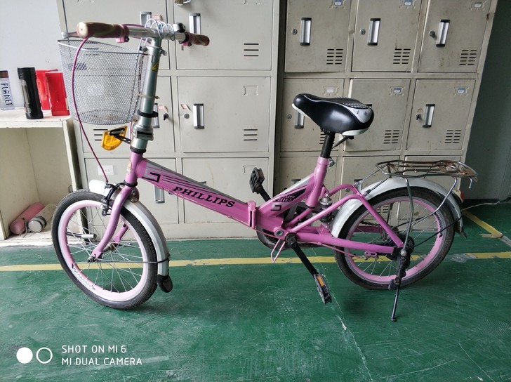 菲利普折叠自行车，带车锁，车在广德开发区