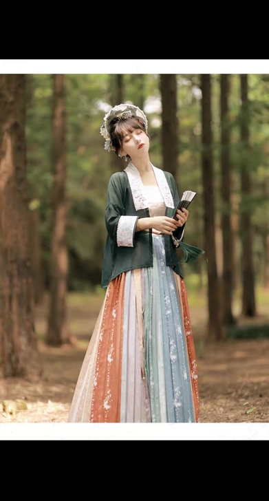 仙楚姬原创汉服女【沉香】明制对襟合领衫彩虹...