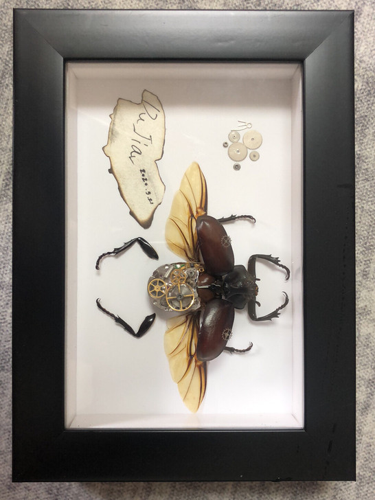 #我要当玩家#DIY 机械昆虫标这款已出。...