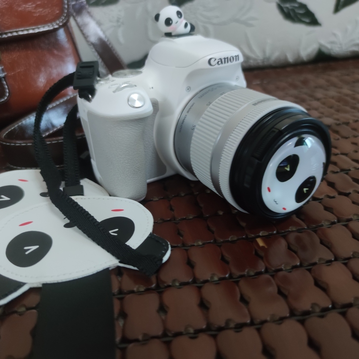 佳能200d一代小痰盂50mm镜头三代