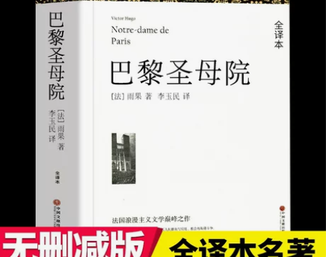 巴黎圣母院 巴黎圣母院悲惨世界书正版原著完...