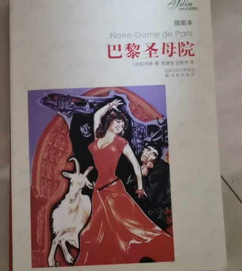 《巴黎圣母院》几年前学校要求在市图书馆买的...