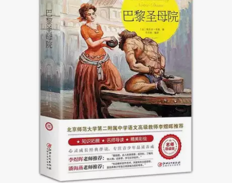 巴黎圣母院书正版原著 雨果全译本无删节世界...