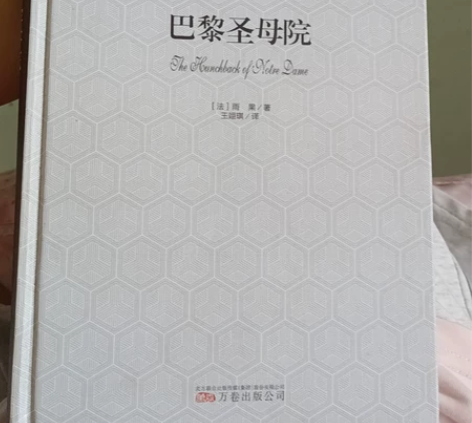 巴黎圣母院 感兴趣的话点“我想要”和我私聊...