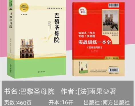 巴黎圣母院原著完整版高中名著书籍阅读小说