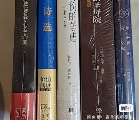 巴黎圣母院， 名人传， 艾青诗集， 身份的...