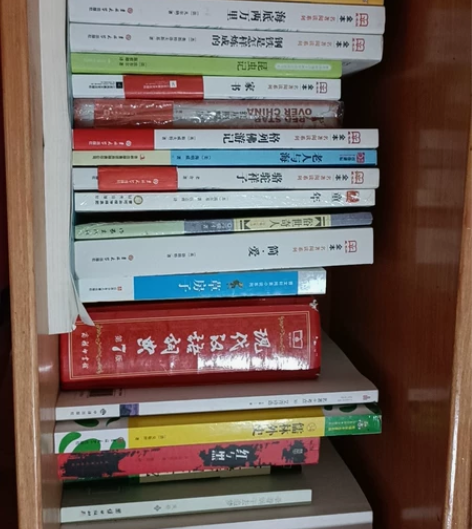 《西游记》《红楼梦》《水浒传》《海底两万里...