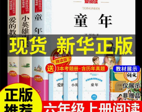 童年爱的教育小英雄雨来快乐读书吧六年级上册...