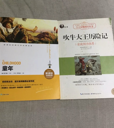 闲置书 童年、吹牛大王历险记 两本一起卖1...