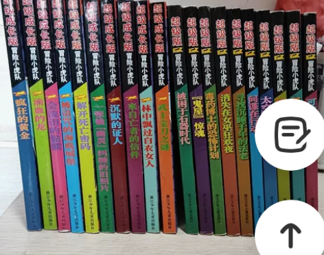 正品！冒险小虎队系列图书 90后童年回忆 ...