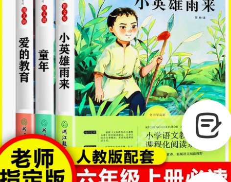 快乐读书吧六年级上下册小英雄雨来经典书目全...