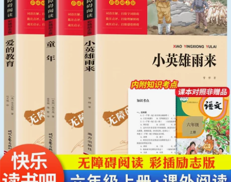童年快乐读书吧六年级上册全套小英雄雨来爱的教