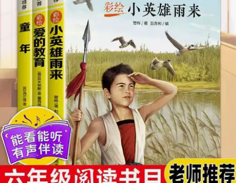 快乐读书吧六年级上册童年小英雄雨来爱的教育...