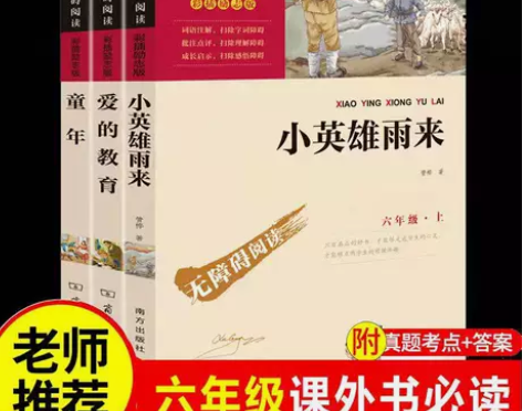 全套3册 童年爱的教育小英雄雨来六年级必读...