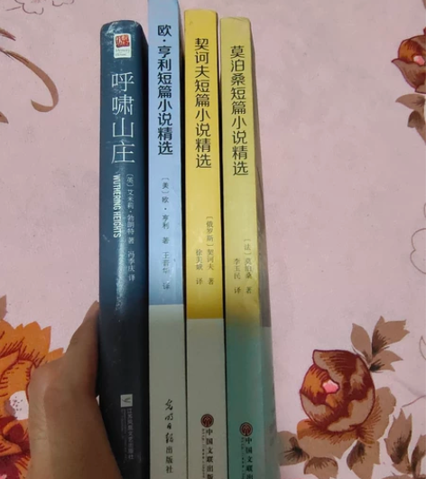 呼啸山庄，莫泊桑，欧亨利，契诃 夫小说集