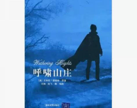 二手包邮【二手95新】呼啸山庄（中文导读英...