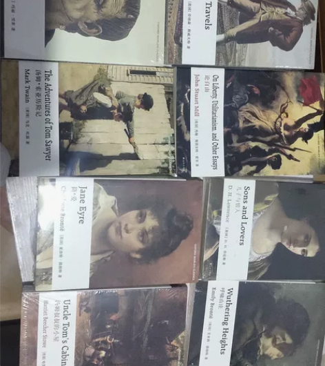 简爱，呼啸山庄，儿子与情人，汤姆叔叔的小屋...