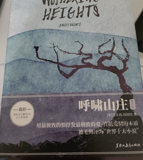 呼啸山庄英文版,全新 薄荷阅读版本,不喜欢...