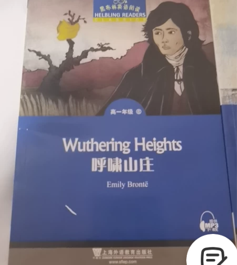 呼啸山庄 会飞的男孩 两本书共37 英文版...