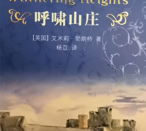 名著《呼啸山庄》典藏精装版，九成新，一本2...