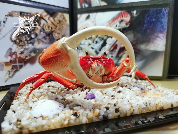 红勾手蟹标本 螃蟹标本 昆虫甲虫标本 工艺...