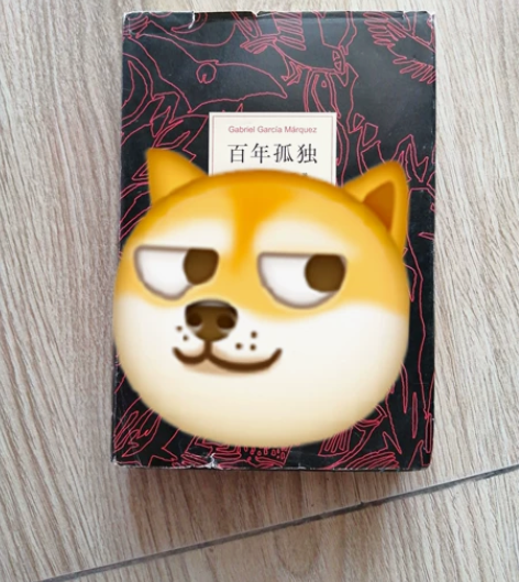 公仔下的百年孤独要出的 感兴趣的话点“我想...