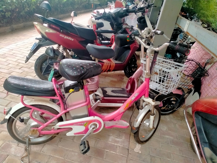 凤凰牌子锂电池电车85新