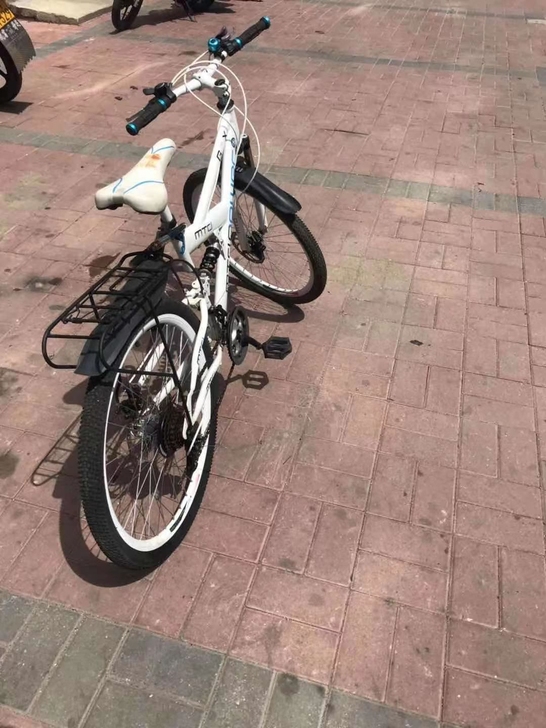 出租！出售 ！自行车 ！售价280元！延大...