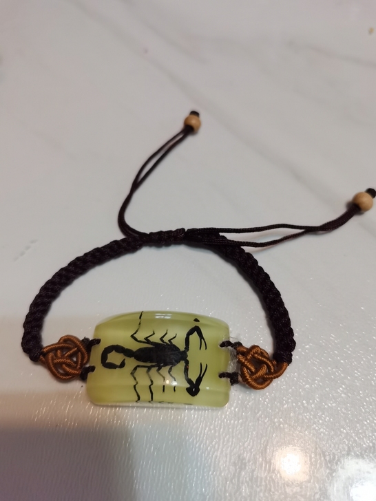 真实昆虫标本 蝎子辟邪男女款手链仿琥珀 干...