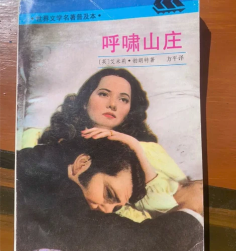 书名：呼啸山庄 作者：艾米莉·勃朗特 译者...