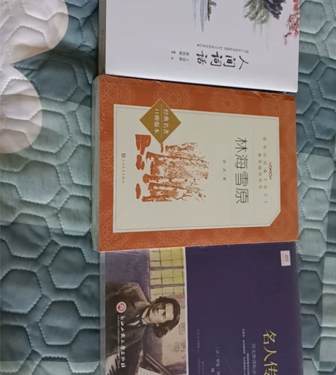 3本未拆封的新书，从左到右人间词话40块钱...