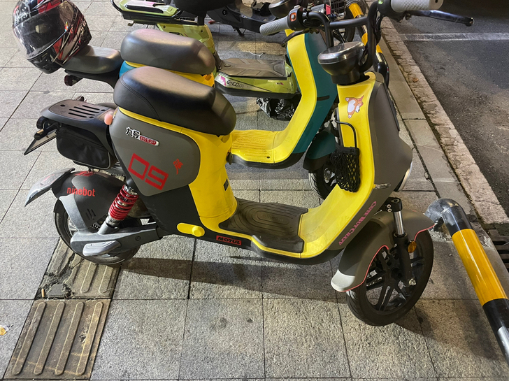 九号电动车Ｂ110Ｐ国标最强