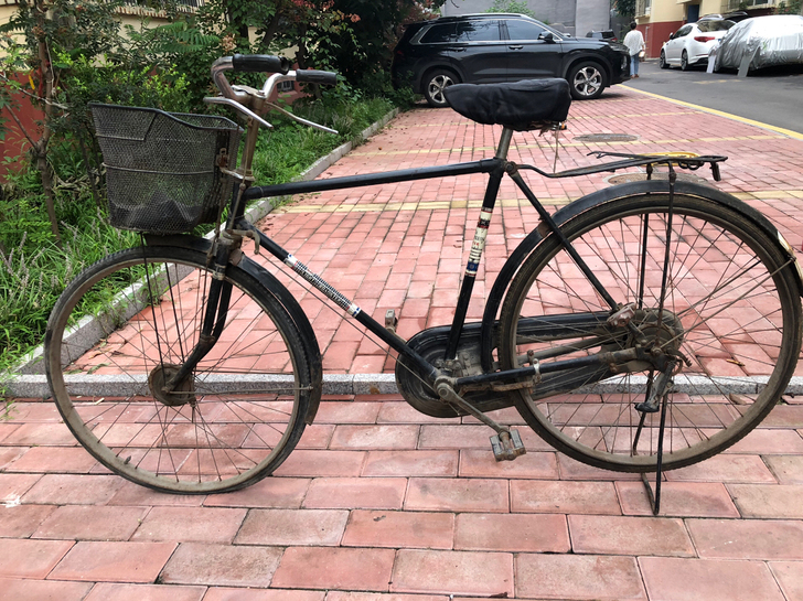 老自行车 中国 天津 飞鸽自行车