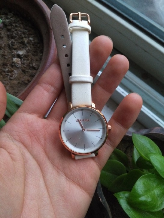 Dickies石英女手表CL-43L7-81