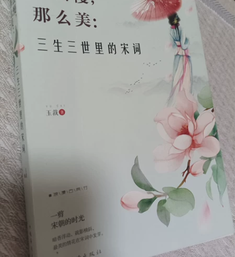 《那么慢，那么美:三生三世里的宋词》 九五...