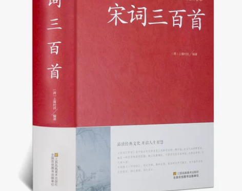 宋词三百赏析三百首小学版正版中华国学藏书书...