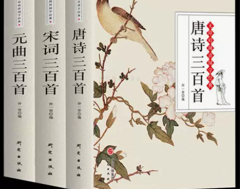 唐诗三百首宋词元曲三百首全集注释 初高中学...