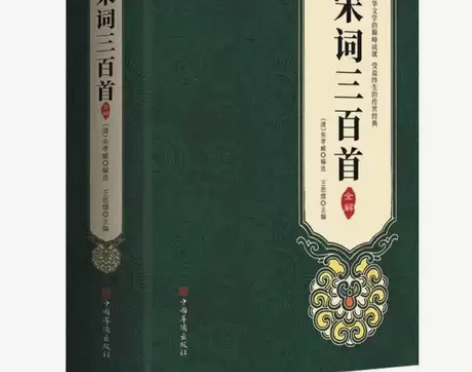 正版 宋词三百首 图解祥析 文白对照原文注...