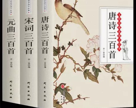正版 唐诗三百首宋词元曲三百首全集注释 初...