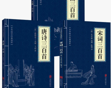 套装书籍中华国学经典精粹文白对照中国古诗