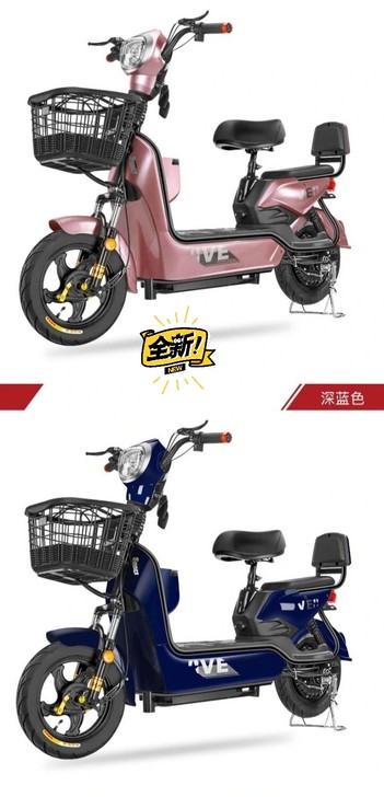 全新新国标48V新款电动车电动自行车男女两...