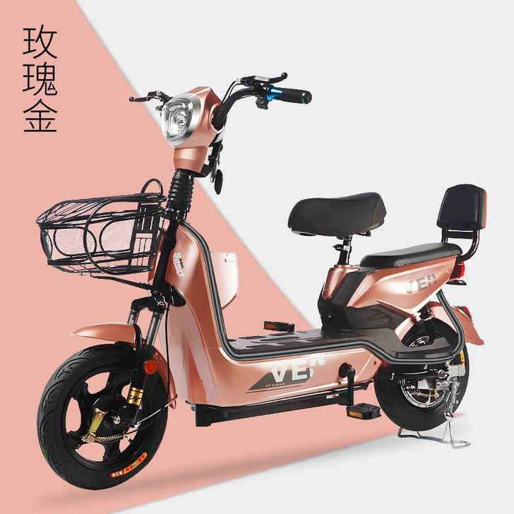 思帝诺新国标48V新款电动车电动自行车小型...