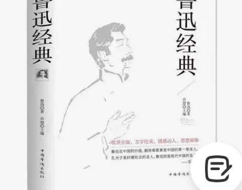 鲁迅经典全集 呐喊 彷徨 狂人日记 阿Q正...