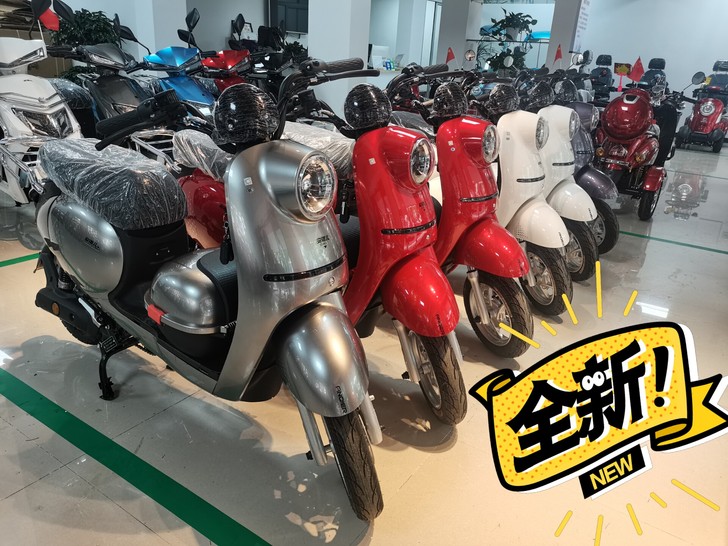 安琪儿GW-2二轮电动车电动自行车48V/...