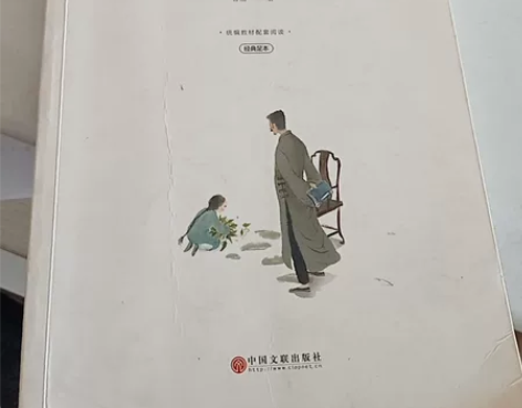 《朝花夕拾》初中名著阅读书目 感兴趣的话点...