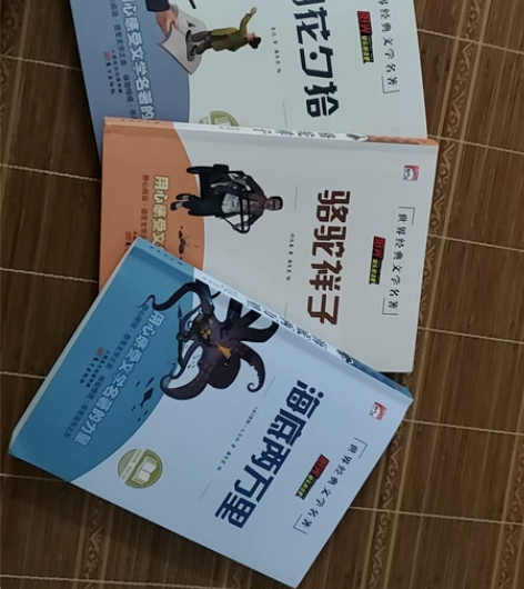 朝花夕拾,骆驼祥子,海底两万里,世界经典文...