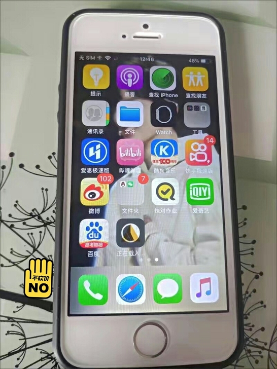 邮费半包，5s正品，有爱思助手，需要id的...