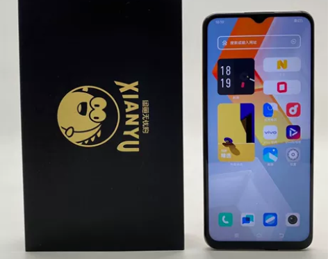 95新【特价】vivo iQOO Z5X ...